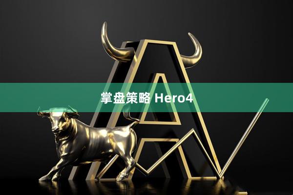 掌盘策略 Hero4