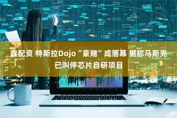 鑫配资 特斯拉Dojo“豪赌”或落幕 据称马斯克已叫停芯片自研项目