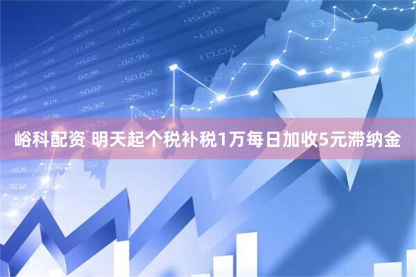 峪科配资 明天起个税补税1万每日加收5元滞纳金
